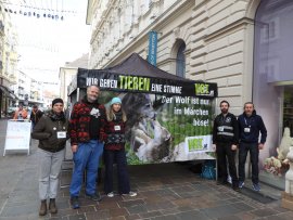 Wolf Ausstellung