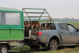 Jagd 3
