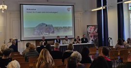 Während der Diskussion