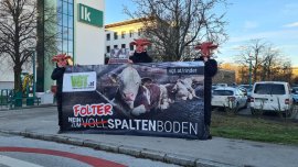 Protest 2
