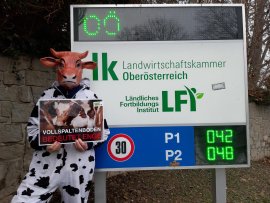 Protest 4