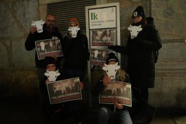 Protest 5