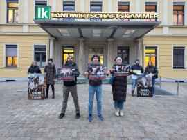 Protest 7