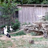 Eulen- und Greifvogelstation Haringsee
