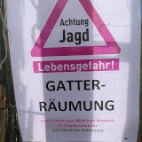Jetzt gerade findet eine illegale Treibjagd im Jagdgatter Strem statt!