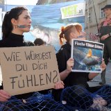 VGT Aktionswoche für das Ende der Fischerei
