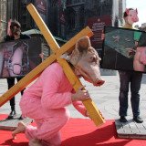 Einladung: VGT zeigt den „Kreuzweg der Tierfabrikstiere“