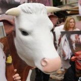 Einladung: morgen Dienstag VGT-Aktion zu Mastrinder Vollspaltenboden in Klagenfurt