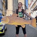 Mittelalterliche Tradition auf Kosten der Tiere!