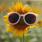 Veganes Sommergewinnspiel 2024