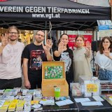 World Cage Free Day: Unzählige Botschaften gehen an die EU