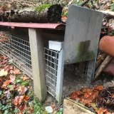 Wälder voll von Lebendfangfallen: tierquälerische Fangpraktiken bedrohen nicht nur Wildtiere!