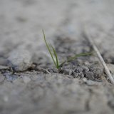 VGT: Wasserknappheit wird dramatischer als bisher angenommen
