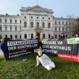 Schächt-Prozess: Kontroll-Tierarzt als Hauptangeklagter