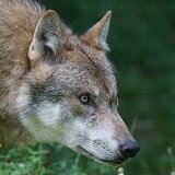 "Ins Blaue schießen verschärft das Problem"