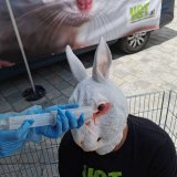 Einladung VGT-Aktion: Internationaler Tag für Versuchstiere