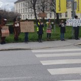 Zirkus ja, aber ohne Tiere
