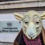 11 Monate bedingt für Tierarzt im Wr. Neustädter Schächt-Prozess