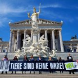 Wo bleibt der Muttertag in der Tierfabrik? – VGT-Aktion vor dem Parlament