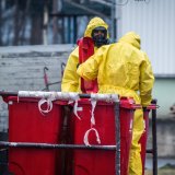 Aviäre Influenza (Vogelgrippe) 