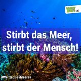 Gequälter Meeresfisch am Speisetisch (Aktion)