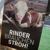 Einladung: Aktion zu Mastrindern auf Vollspaltenboden in Linz