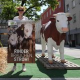 Einladung: morgen Samstag VGT-Aktivist auf Rinder Vollspaltenboden in Wr. Neustadt