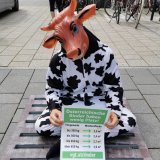 Einladung: VGT-Aktion „Rollentausch“ zu Vollspaltenboden Mastrinder in Wien