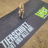Erster VGT-Tierschutzunterrichtsstand auf der Veganmania