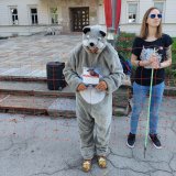 Gegen Wolfspolitik: Herdenschutzzaun um Sitz der Kärntner Landesregierung aufgestellt