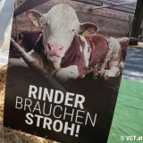 Einladung zum Welttierschutztag: VGT-Aktion „Auch Mastrinder brauchen Stroh“