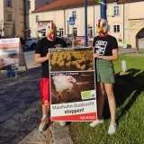 Einladung zur VGT-Aktion: „Masthuhn-Qualzucht stoppen!“