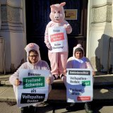 Einladung: VGT-Protest vor dem Landwirtschaftsministerium gegen Hubmann-Räumung