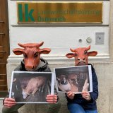 VGT-Proteste vor „Rinderzucht Austria“, Landwirtschaftsministerium und -kammer