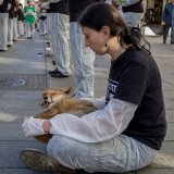 Einladung: toter Fuchs auf der Wiener Mariahilferstraße – Bundesjagdgesetz jetzt!