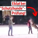 „Schutzhunde“ beißen sich fest und lassen nicht los!