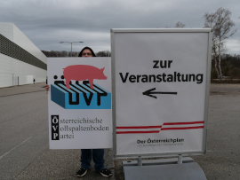 Schwein auf Vollspaltenboden 