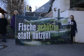 Demo 2