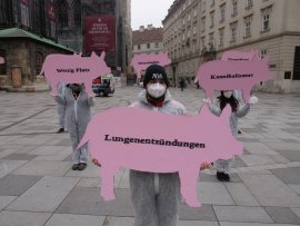 Aktion mit Pappschweinen
