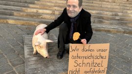Totschnig