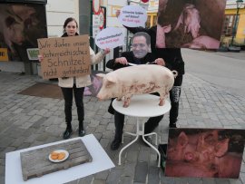 Totschnig bangt um sein Schnitzel