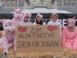 Valentinstags-Aktion