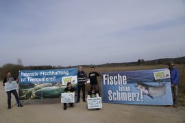 Lachsdemo 1