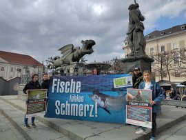Welttag 4