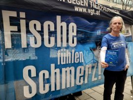 Welttag 5