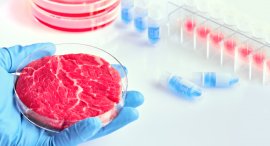 Kulturfleisch