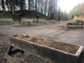 Wildtierfütterung