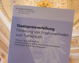 Verleihung 1