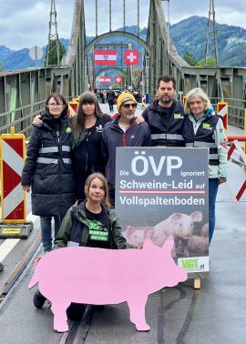 Aktivist:innen um ein Schild versammelt