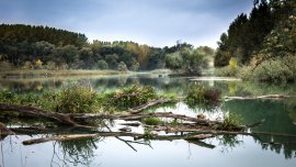 Fluss